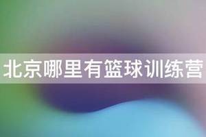 篮球训练营大概多少钱啊